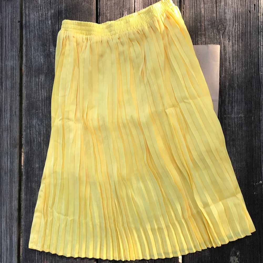 Endless Rose Pleated Midi Skirt